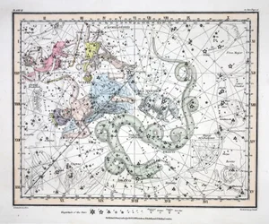 Die Sternbilder (Tafel II) Ursa Minor, Cassiopeia, Tarandus, Cepheus, Draco, Custos Messium, aus 